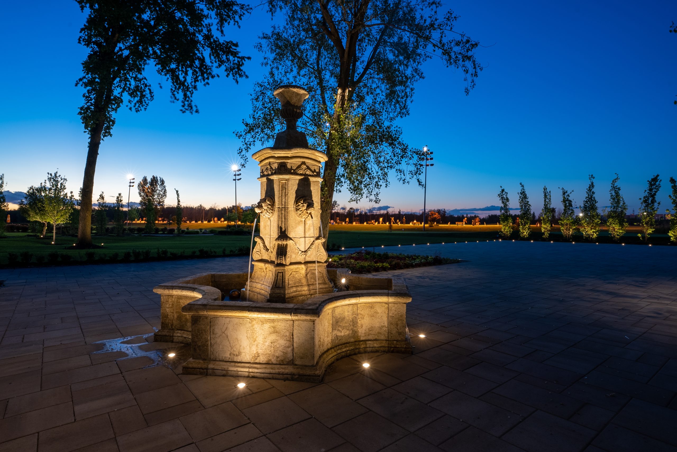 feature accent lighting category