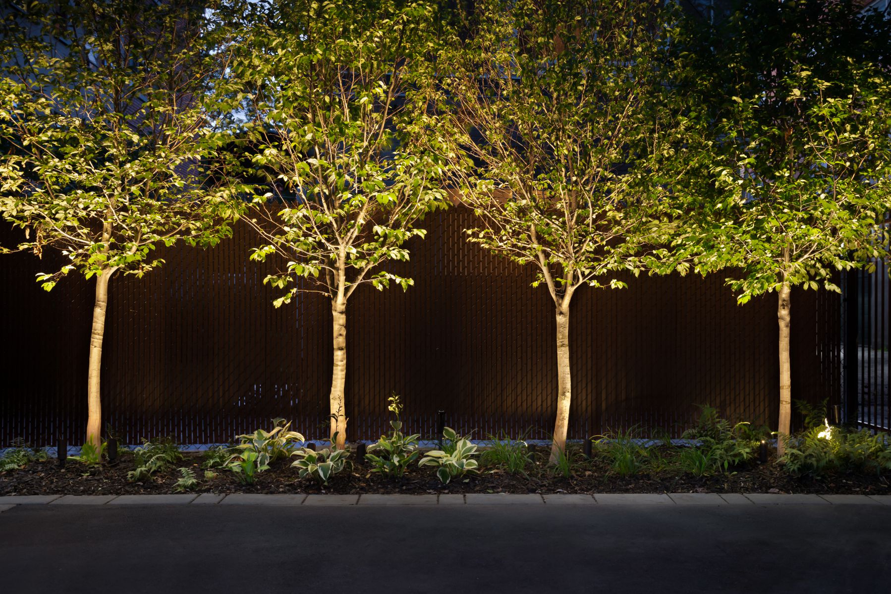 Feature Accent Lighting